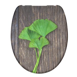 SCHÜTTE GINGO UND WOOD WC-Sitz