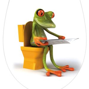 WENKO ACRYL FROG NEWS WC-Sitz