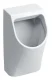 GEBERIT RENOVA PLAN Urinal, Zulauf und Abgang hinten, KeraTect, Weiß