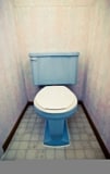 WC-Sitz: Pflege und Reinigung